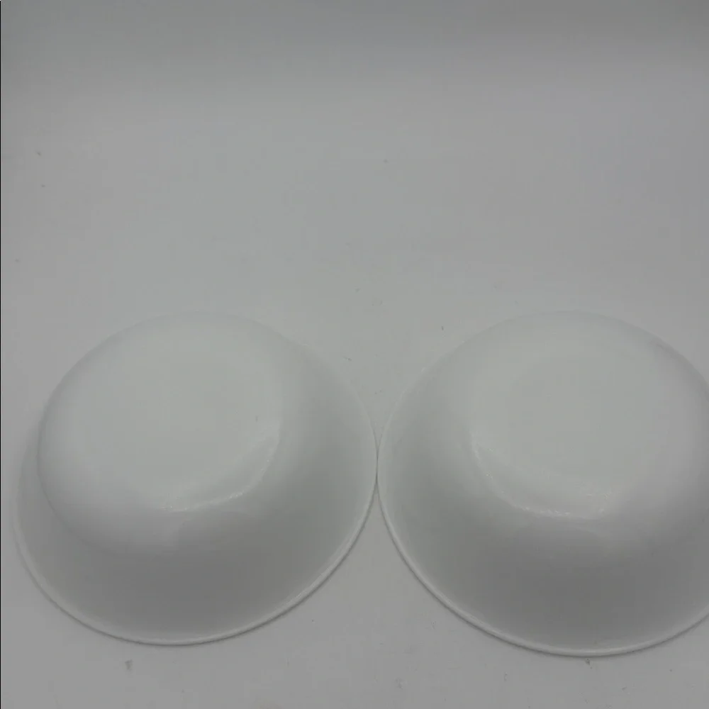 Set of 2 retired Corelle Indian Summer cereal bowls 6 1/4”